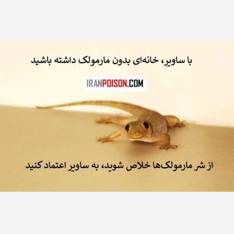 پاکسازی سریع و مؤثر مارمولک با ساویر