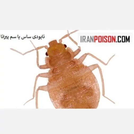 نابودی قطعی ساس با پیرانا(وارداتی بیاتوکالا)