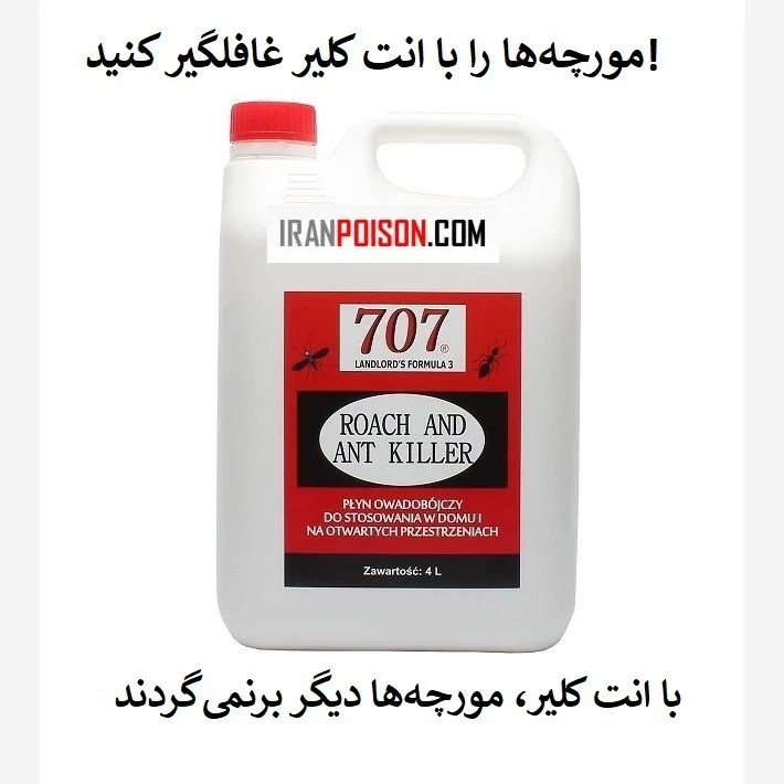 نابودی مورچهها با یک بار استفاده سم انت کلیر