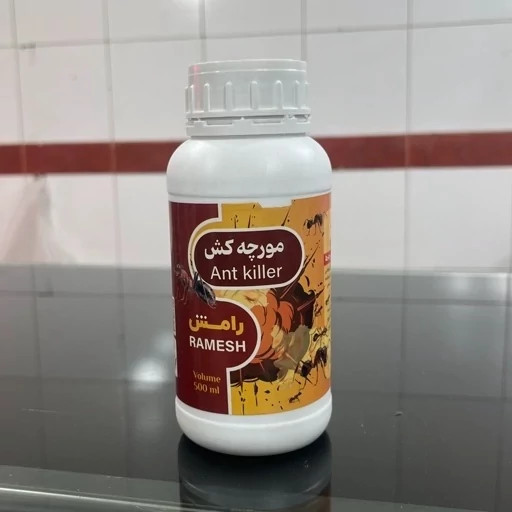 سم مورچه رامش سم حرفهای ریشهکن کلونی مورچه بدون بوجدید