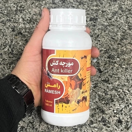سم مورچه رامش سم حرفهای ریشهکن کلونی مورچه بدون بوجدید