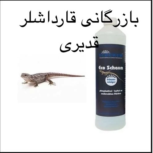 سم بی رحم برای مارمولک ، سم اکوشاوم اورجینال ارسال رایگان