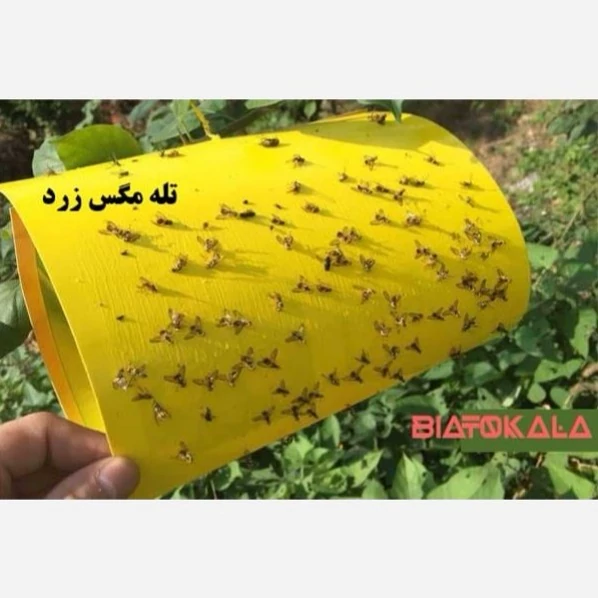 کارت مگس جمع کن زرد