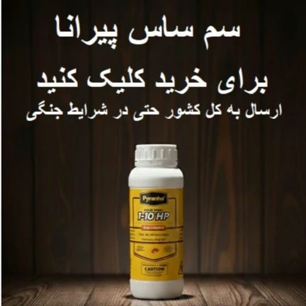 سم ساس و تخم ساس پیرانا
