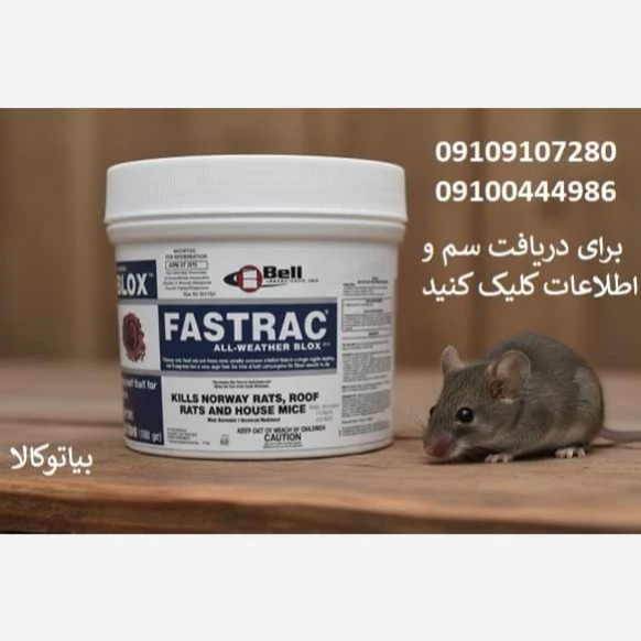 طعمه فستربلاکس آلمانی