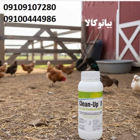 کک‌ها را با سم کلین آپ نابود کنید