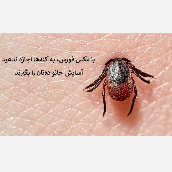 نابودی کامل کنهها با سم مکس فورس