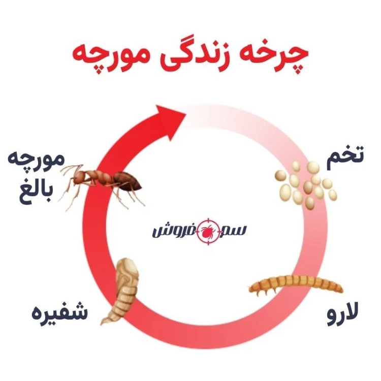 سم مورچه کش انت کیلر یک لیتری بدون بو ارسال رایگان