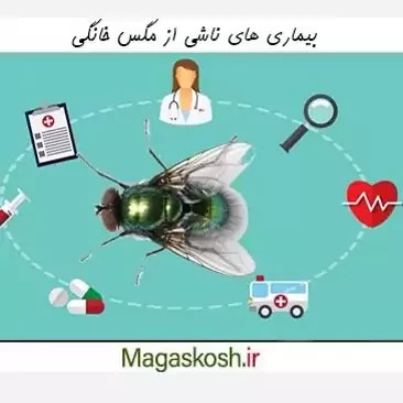 سم مگس کش دیویس ارسال رایگان مدل 1