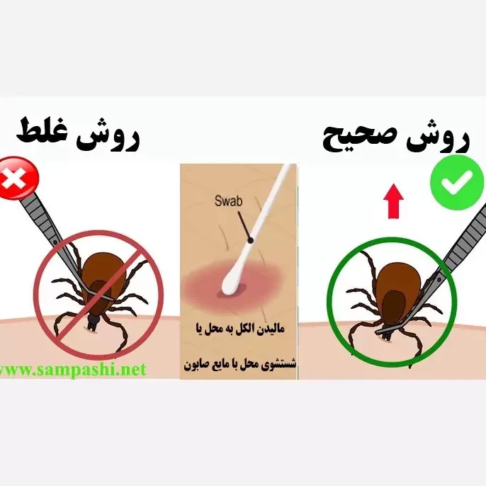 سم کنه کبوتری بلک فلگ ارسال رایگان مدل 1