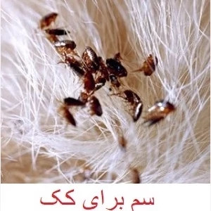 سم کک کش فلازتینگ مانگ نسخه اصلی کمیاب ارسال رایگان