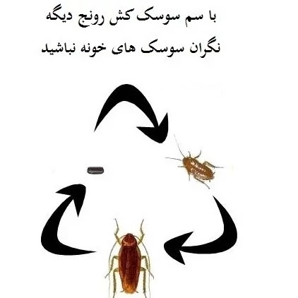 سم سوسک کش رونج کشنده ترین سم بدون بو ارسال رایگان مدل 2