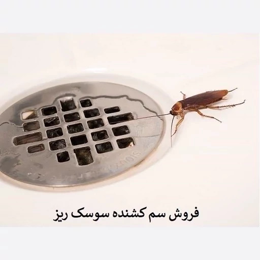 سم سوسک کش رونج کشنده ترین سم بدون بو ارسال رایگان مدل 2