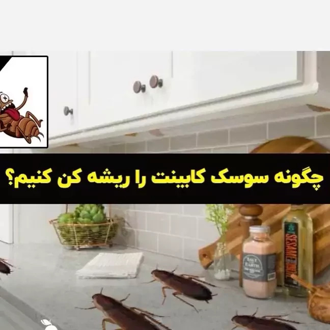 سم سوسک کش رونج کشنده ترین سم بدون بو ارسال رایگان مدل 1