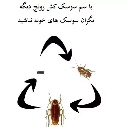 سم سوسک کش رونج کشنده ترین سم بدون بو ارسال رایگان مدل 1