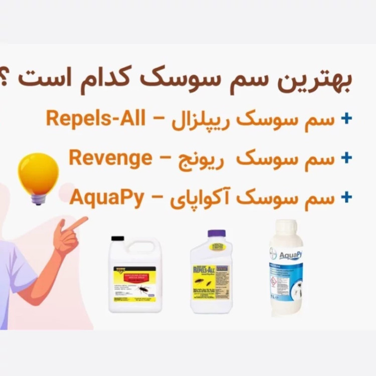سم سوسک کش رونج رقیب سوسک های آلمانی ارسال رایگان