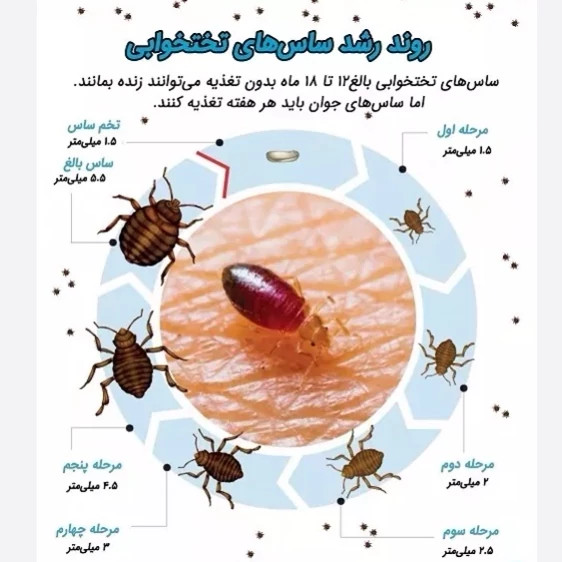 سم ساس کش کراس فایر نسخه بروز شده پیرانا ارسال رایگان مدل 1