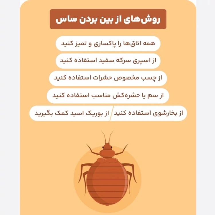 سم ساس کش کراس فایر راه حل نوین از بین بردن ساس ها ارسال رایگان مدل 1