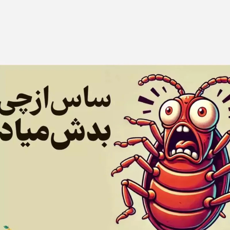 سم ساس پرو مکث رقیب ساس های خونخوار ارسال رایگان مدل 1