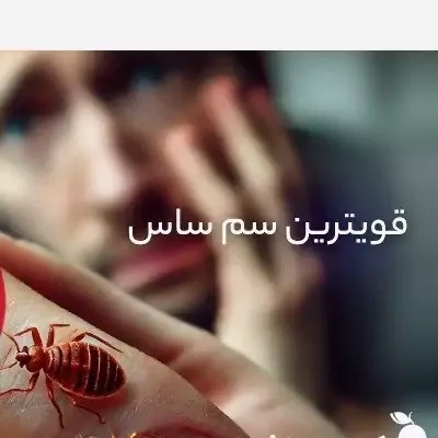 سم ساس پرو مکث رقیب ساس های خونخوار ارسال رایگان مدل 1