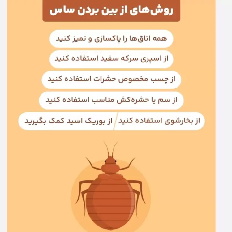 سم ساس پیرانا تحت لیسانس کشنده ترین ساس کش دنیا ، ارسال رایگان مدل 1