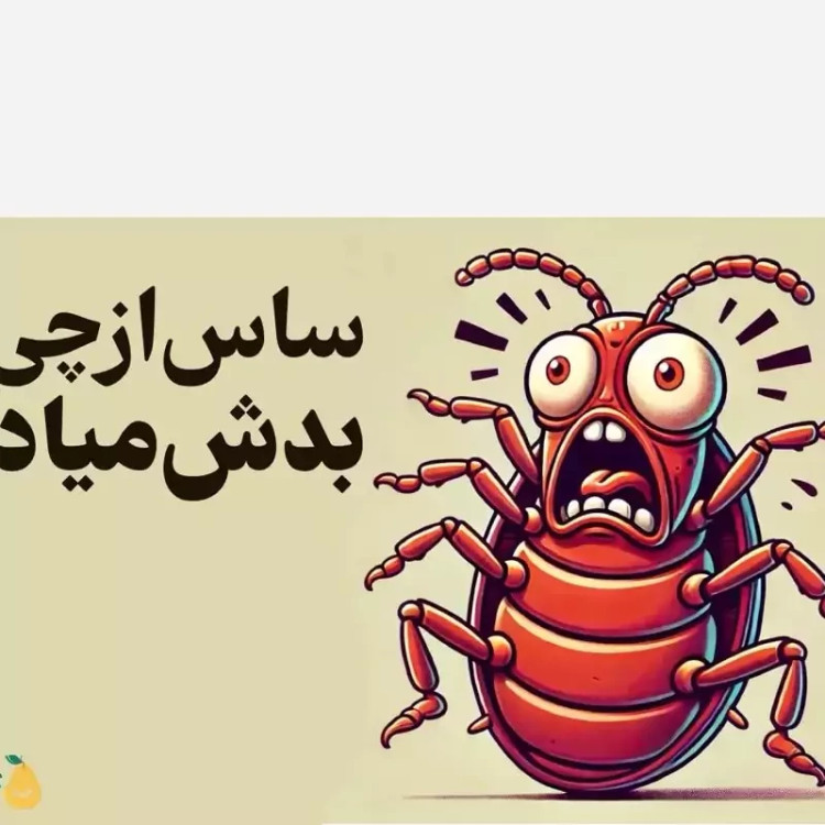 سم ساس پیرانا تحت لیسانس کشنده ترین ساس کش دنیا ، ارسال رایگان مدل 1
