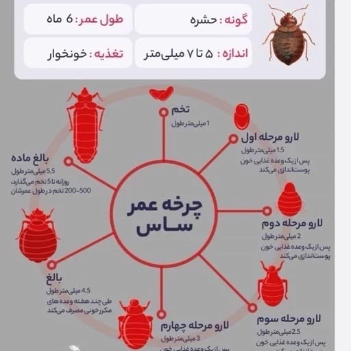 سم ساس پیرانا تحت لیسانس کشنده ترین ساس کش دنیا ،اورجینال و ارسال رایگان