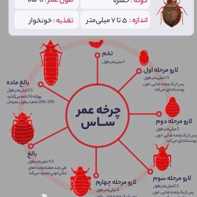 سم ساس پیرانا اصلی بایر با لوگو اورجینال ارسال رایگان مدل 1