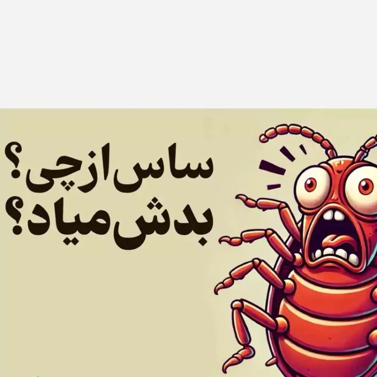 سم ساس بد باگ اوت کشنده ترین ساس کش ارسال رایگان مدل 1