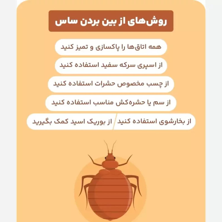سم ساس بد باگ اوت کشنده ترین ساس کش ارسال رایگان مدل 1