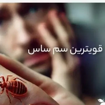 سم ساس بد باگ اوت کشنده ترین ساس کش ارسال رایگان مدل 1