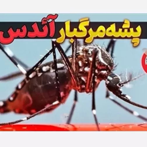سم پشه کش بات بدون بو ارسال رایگان مدل 1