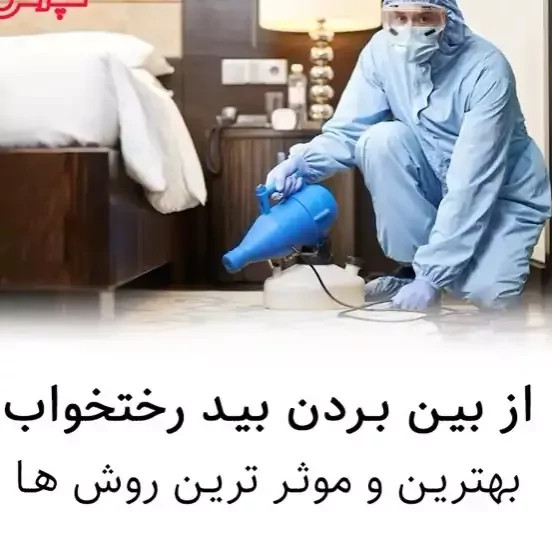 سم بید کش پست اکسپرت بدون بو ارسال رایگان مدل 1