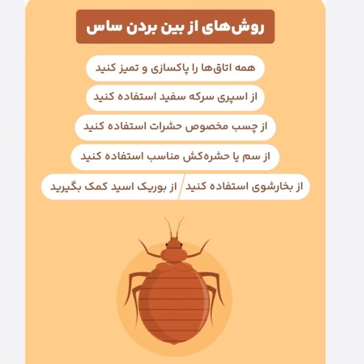 سم بدباگ اوت مبارز سرسخت ساس ارسال رایگان
