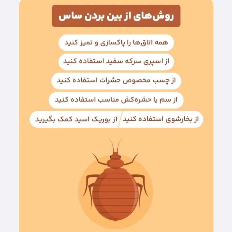 سم 4 لیتری نسخه اصلی پیرانا Pyranha اورجینال ارسال رایگان