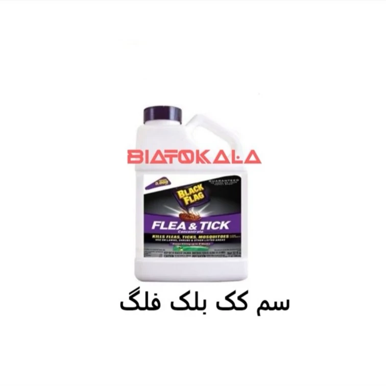 از بین بردن کک و تخم کک با بلک فلگ