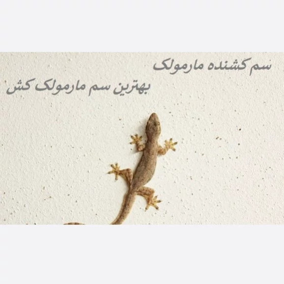 سم مارمولک کش لیزارد کشنده ترین سم ارسال رایگان
