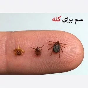 سم کنه کش مکس فورس ارسال رایگان
