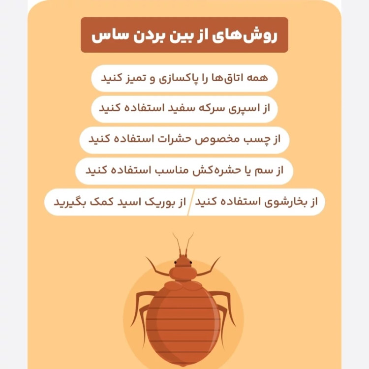 سم ساس بد باگ اوت کشنده ترین ساس کش ارسال رایگان
