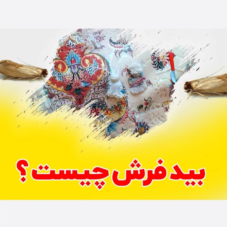 سم بید کش پست اکسپرت بدون بو ارسال رایگان
